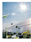 Photovoltaik: Solarstrom vom Dach - 9